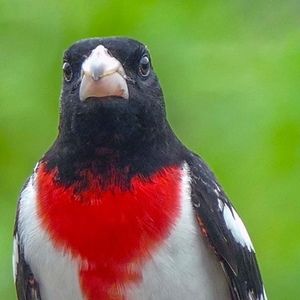 Meet your Posher, Lesley